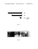 Method for Producing Virus-Type Particles Containing an Active Substance diagram and image