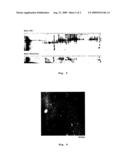 Method for Producing Virus-Type Particles Containing an Active Substance diagram and image