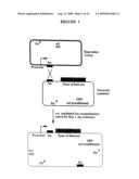 Rapid subcloning using site-specific recombination diagram and image