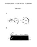 Rapid subcloning using site-specific recombination diagram and image