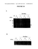 Rapid subcloning using site-specific recombination diagram and image