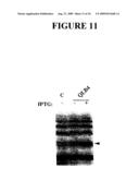 Rapid subcloning using site-specific recombination diagram and image