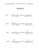 Rapid subcloning using site-specific recombination diagram and image