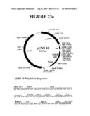 Rapid subcloning using site-specific recombination diagram and image