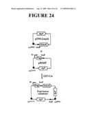 Rapid subcloning using site-specific recombination diagram and image