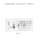 Utility of phylloplanins as antibiotics, selective fungicides and for enhancing microbial resistance in plants diagram and image