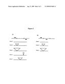 Methods of making and uses of compositions that modulate intronic region-encoded protein function diagram and image