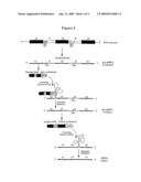 Methods of making and uses of compositions that modulate intronic region-encoded protein function diagram and image