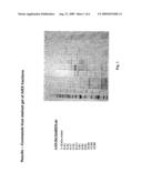 LAWSONIA PROTEIN USEFUL AS A COMPONENT IN SUBUNIT VACCINE AND METHODS OF MAKING AND USING THEREOF diagram and image