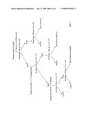 LAWSONIA PROTEIN USEFUL AS A COMPONENT IN SUBUNIT VACCINE AND METHODS OF MAKING AND USING THEREOF diagram and image