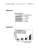 METHOD OF TREATING CHRONIC MYELOGENOUS LEUKEMIA CELLS diagram and image