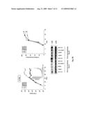 Micro rna diagram and image