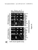 METHODS AND KITS FOR EXPANDING HEMATOPOIETIC STEM CELLS diagram and image