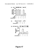 Therapeutic and carrier molecules diagram and image