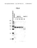 Triprenyl phenol compound, process for production of triprenyl phenol compound, and thrombolysis enhancer diagram and image