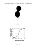 Magnetic Gradient Targeting And Sequestering Of Therapeutic Formulations And Therapeutic Systems Thereof diagram and image