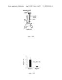 Magnetic Gradient Targeting And Sequestering Of Therapeutic Formulations And Therapeutic Systems Thereof diagram and image