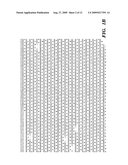 T1R3 A NOVEL TASTE RECEPTOR diagram and image