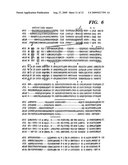 T1R3 A NOVEL TASTE RECEPTOR diagram and image