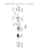 Cell-based RNA interference and related methods and compositions diagram and image