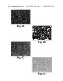 Cell-based RNA interference and related methods and compositions diagram and image