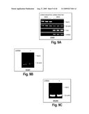 Cell-based RNA interference and related methods and compositions diagram and image