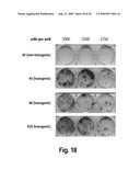 Cell-based RNA interference and related methods and compositions diagram and image