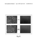 Cell-based RNA interference and related methods and compositions diagram and image