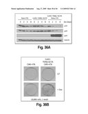 Cell-based RNA interference and related methods and compositions diagram and image