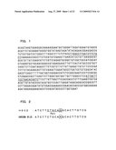 Genetic marker linked to gene locus involved in barley resistance to yellow mosaic disease and use thereof diagram and image