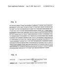 Genetic marker linked to gene locus involved in barley resistance to yellow mosaic disease and use thereof diagram and image