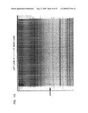 Genetic marker linked to gene locus involved in barley resistance to yellow mosaic disease and use thereof diagram and image