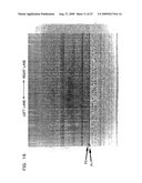 Genetic marker linked to gene locus involved in barley resistance to yellow mosaic disease and use thereof diagram and image