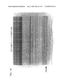 Genetic marker linked to gene locus involved in barley resistance to yellow mosaic disease and use thereof diagram and image