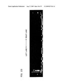 Genetic marker linked to gene locus involved in barley resistance to yellow mosaic disease and use thereof diagram and image