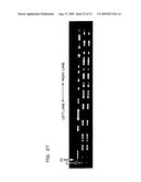 Genetic marker linked to gene locus involved in barley resistance to yellow mosaic disease and use thereof diagram and image