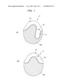 WIG AND METHOD OF MANUFACTURING THE SAME diagram and image