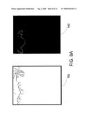 METHOD, A SYSTEM, AND A COMPUTER PROGRAM PRODUCT FOR PROCESSING IMAGES diagram and image