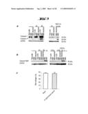 NON-PATHOGENIC AND/OR ATTENUATED BACTERIA CAPABLE OF INDUCING APOPTOSIS IN MACROPHAGES, PROCESS OF MANUFACTURING AND USES THEREOF diagram and image