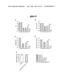 NON-PATHOGENIC AND/OR ATTENUATED BACTERIA CAPABLE OF INDUCING APOPTOSIS IN MACROPHAGES, PROCESS OF MANUFACTURING AND USES THEREOF diagram and image