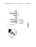 VERY SMALL EMBRYONIC-LIKE (VSEL) STEM CELLS AND METHODS OF ISOLATING AND USING THE SAME diagram and image