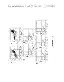 VERY SMALL EMBRYONIC-LIKE (VSEL) STEM CELLS AND METHODS OF ISOLATING AND USING THE SAME diagram and image