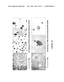 VERY SMALL EMBRYONIC-LIKE (VSEL) STEM CELLS AND METHODS OF ISOLATING AND USING THE SAME diagram and image