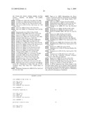 VERY SMALL EMBRYONIC-LIKE (VSEL) STEM CELLS AND METHODS OF ISOLATING AND USING THE SAME diagram and image