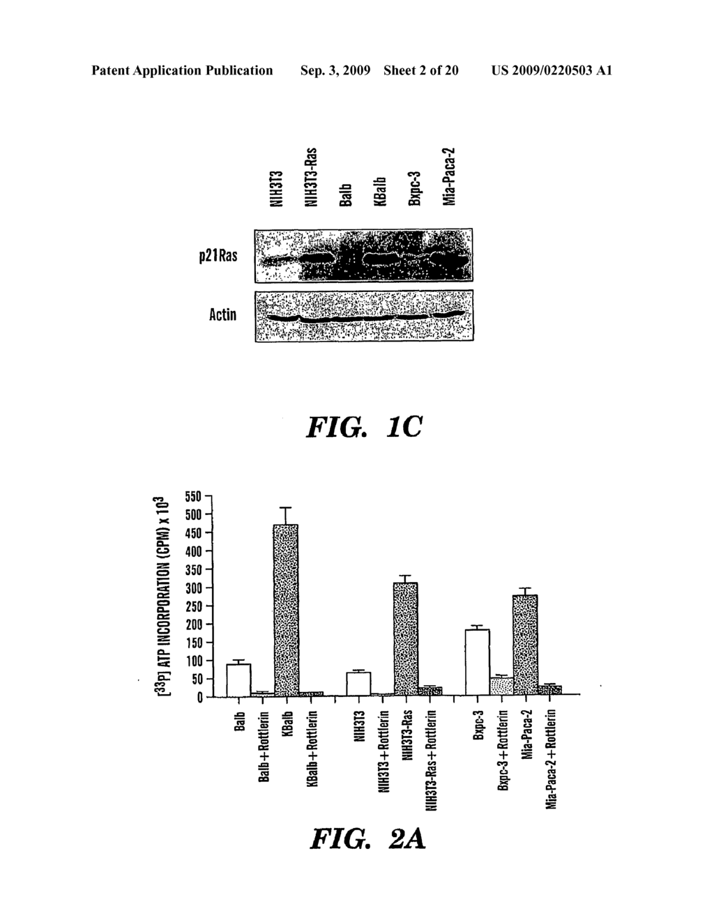 METHOD FOR TREATING CANCERS WITH INCREASED RAS SIGNALING - diagram, schematic, and image 03