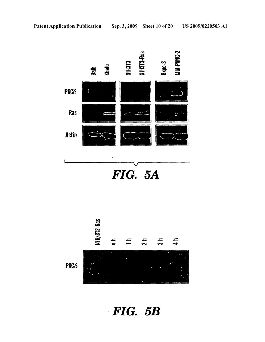 METHOD FOR TREATING CANCERS WITH INCREASED RAS SIGNALING - diagram, schematic, and image 11