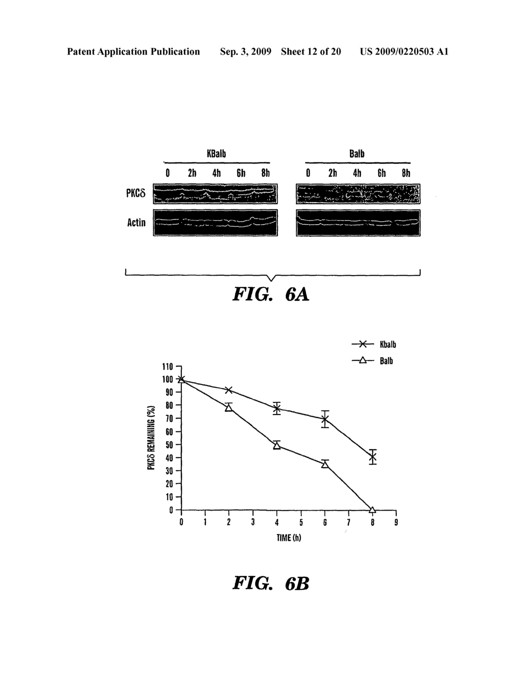 METHOD FOR TREATING CANCERS WITH INCREASED RAS SIGNALING - diagram, schematic, and image 13