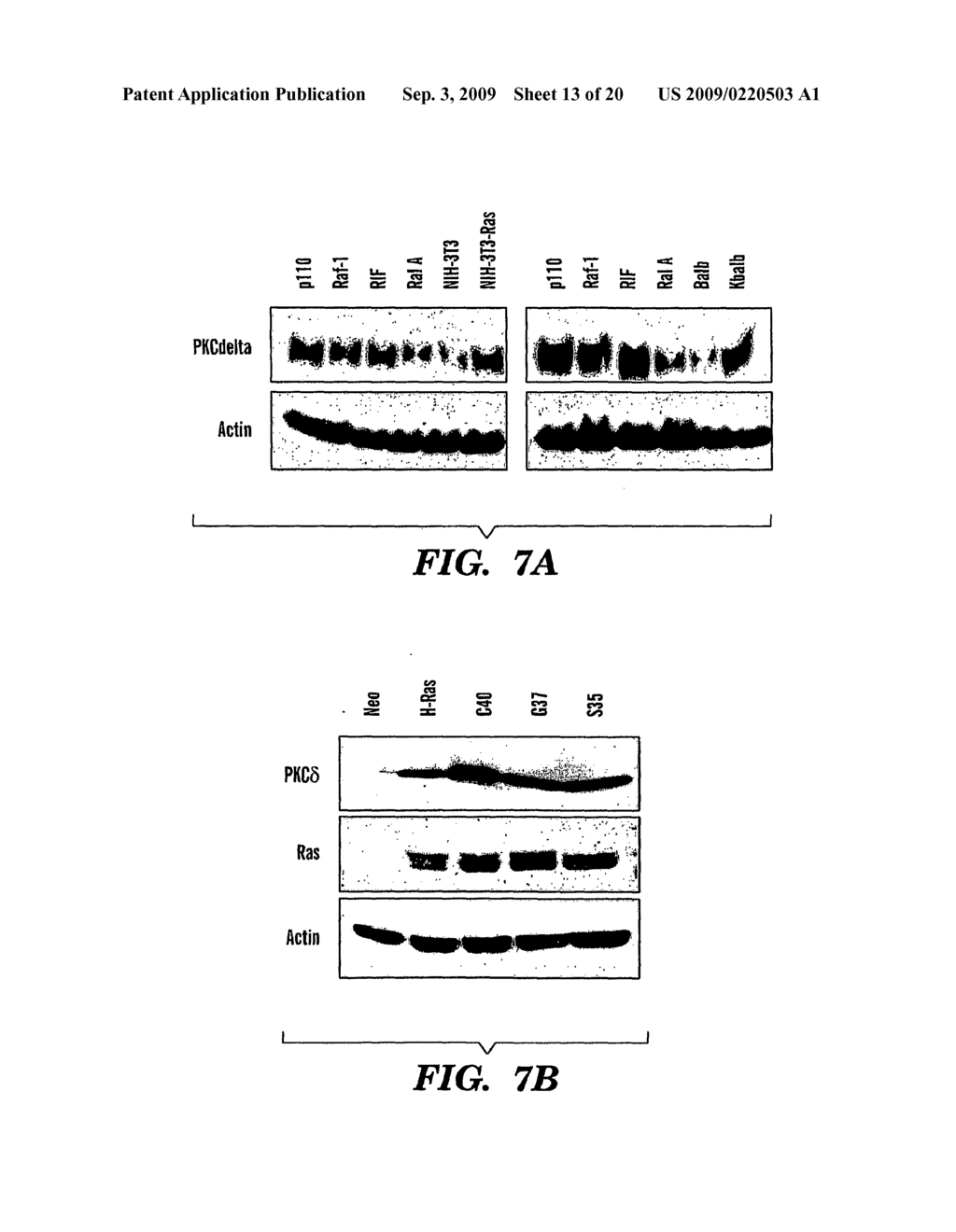 METHOD FOR TREATING CANCERS WITH INCREASED RAS SIGNALING - diagram, schematic, and image 14
