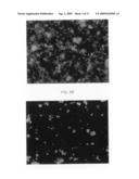 METHODS OF INHIBITING AMYLOID TOXICITY diagram and image