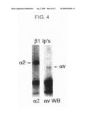 METHODS OF INHIBITING AMYLOID TOXICITY diagram and image